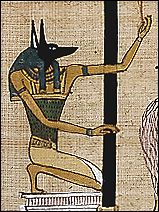 Anubis